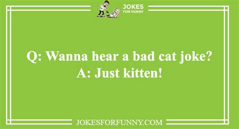 Best Cat Puns - Funny Names & Birthdays Cat Puns