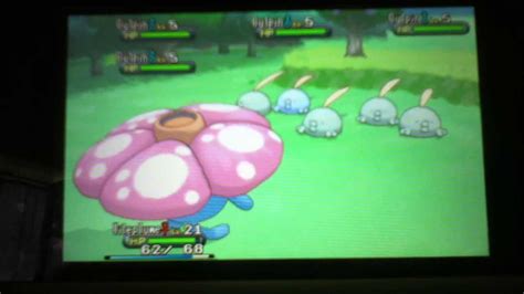 -: 2nd Shiny Gulpin after 5,900 Encounters! :- [Y #1] - YouTube