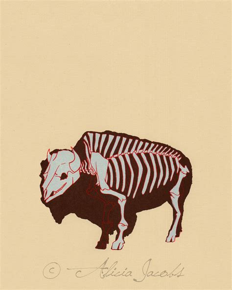 Buffalo Skeleton Diagram Screenprint by aliciasartifactory on Etsy