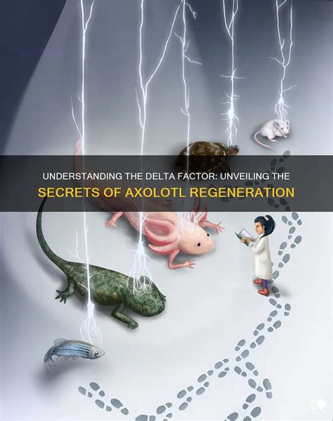 Understanding The Delta Factor: Unveiling The Secrets Of Axolotl Regeneration | PetShun