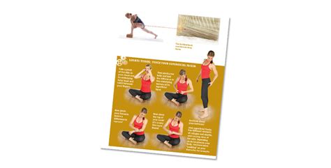 The Roll Model Book by Jill Miller | Tune Up Fitness®