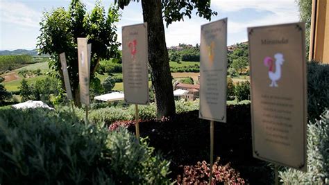 A rustic wedding in a Agriturismo, Piemonte italy