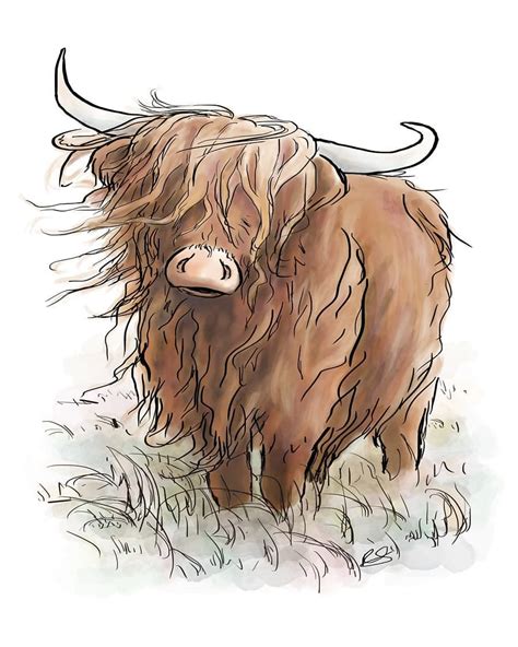 Highland Cow illustration | Highland cow art, Cow illustration, Cow art