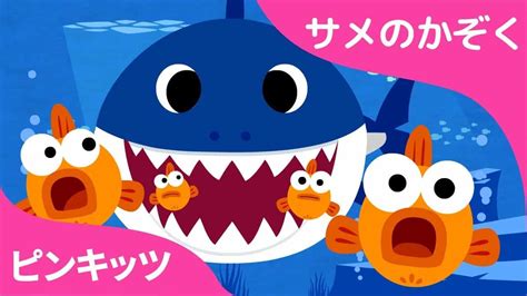 Youtube再生回数1位 | サメのかぞく | 話題のベイビーシャーク | Baby Shark | ピンキッツ! Pinkfong – 童謡と子どもの動画 | 動物（犬・猫 他色々）【まとめ動画】