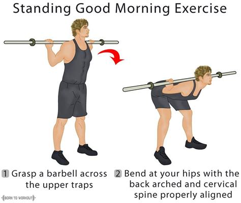 Good Morning Exercise: How to do, Form, Video, Pictures