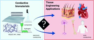 Electroconductive scaffolds for tissue engineering applications ...