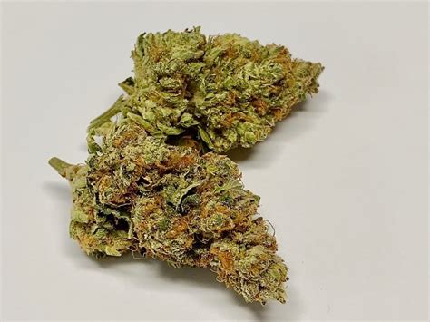 Black Cherry OG Strain Review - The Lodge Cannabis Denver