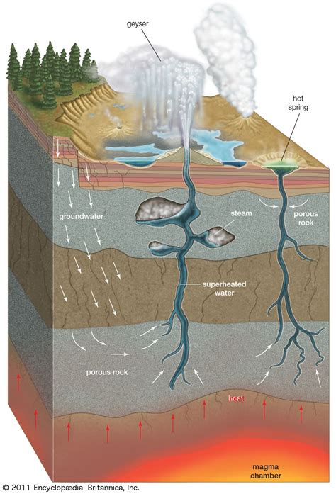 magma chamber: cross section of geyser and hot spring | Geology lessons ...