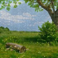 nature background, nature , background , magic , fantasy , animated , glitter - Free animated ...