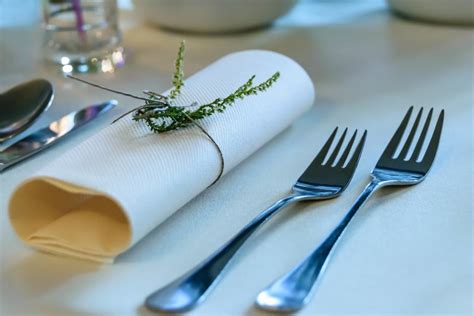 Stainless Steel Fork Beside Rolled Paper Towel With Parsley on Top · Free Stock Photo