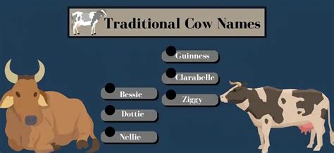 Moo-ve Over Boring Cow Names: Here Are Some Udderly Creative Ideas! - Good Name