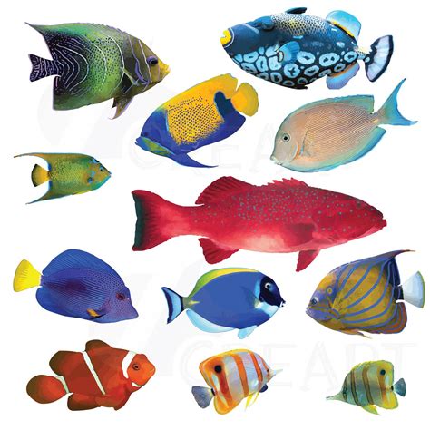 √ Fish Image Clipart