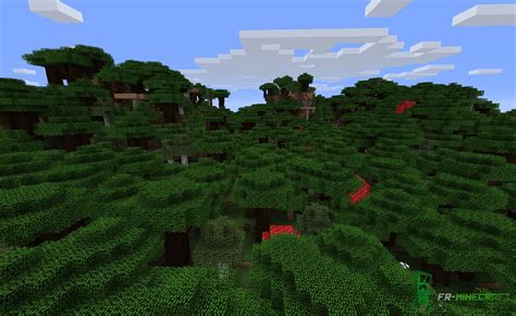 Forest Biome: Forest Biome Minecraft