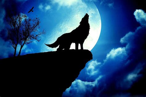 Wolf and Moon Wallpapers - Top Free Wolf and Moon Backgrounds ...