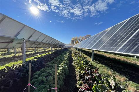 This Colorado 'solar garden' is a farm under solar panels : NPR