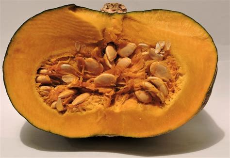 Roasted Pumpkin Seeds - Healthy cooking Recipe