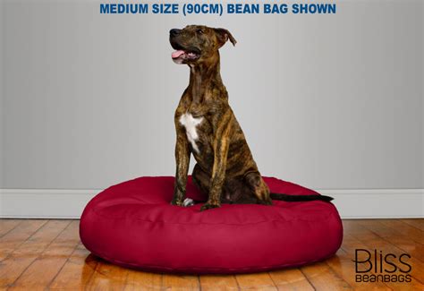 Round Dog Bean Bag Large | Bliss Bean Bags Australia