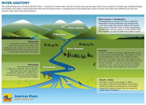 River Ecology - 4River