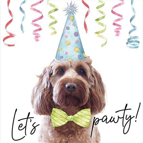 Cockapoo birthday card – BigaMart