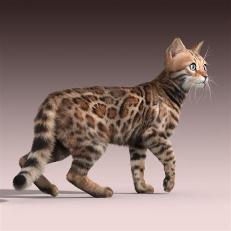 max bengal cat fur hair animation