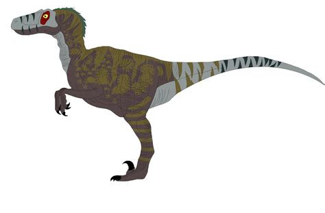 Utahraptor Sketch 02 by Asuma17 on DeviantArt