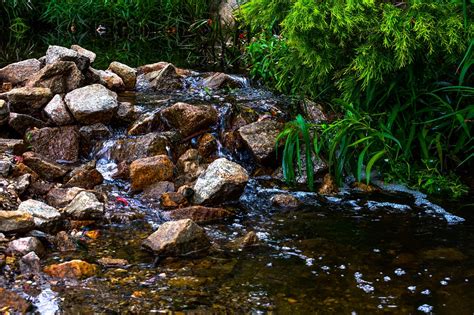 Creek Rocks River - Free photo on Pixabay - Pixabay