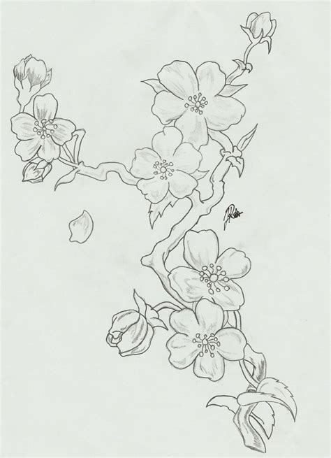 Pencil Cherry Blossom Sketch - pic-mayonegg