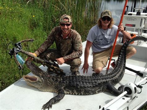 Florida Alligator Hunt 10353