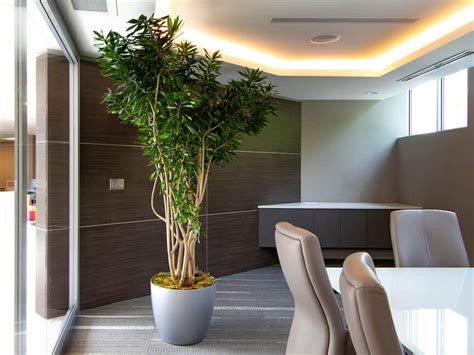 Planterra Office Plant Rentals and Service for Workplace Plants