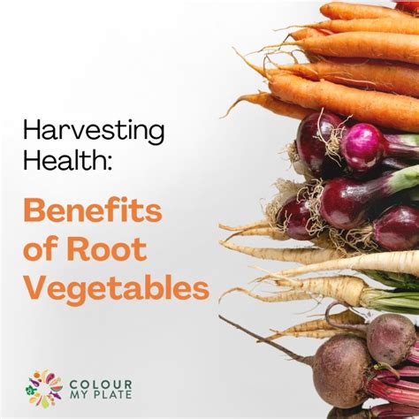 Benefits Of Root Vegetables