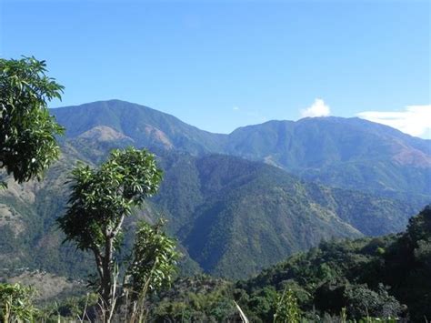 The Jewel Tones of the Jamaica Blue Mountain is simply breathtaking ...