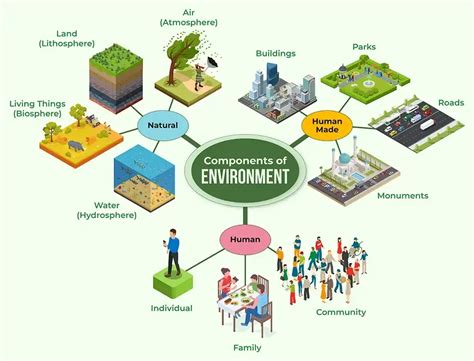 What are the 7 components of environmental science? – killerinsideme.com