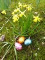 Three colorful chocolate Easter eggs outdoors Creative Commons Stock Image