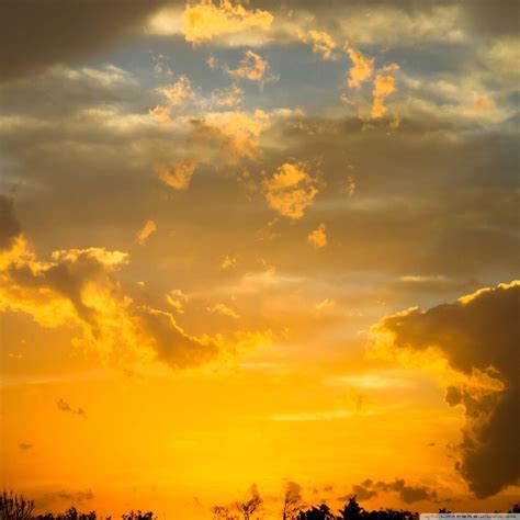 Yellow Sky Wallpapers - Top Free Yellow Sky Backgrounds - WallpaperAccess