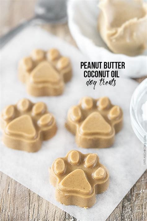 Peanut Butter Coconut Oil Dog Treats and New Years Tips for Pet Owners