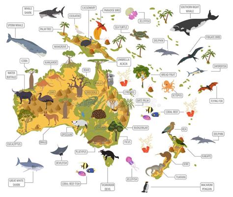 Australia and Oceania Flora and Fauna Map, Flat Elements. Animal Stock ...