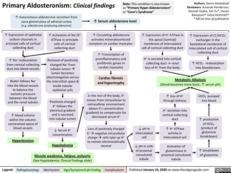 Primary Aldosteronism: Clinical Findings | Calgary Guide