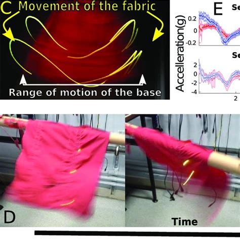 Effects of motion on fabric. The soft, deformable structure of the... | Download Scientific Diagram