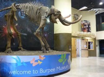 Burpee Museum of Natural History | Natural history, Midwest living, History