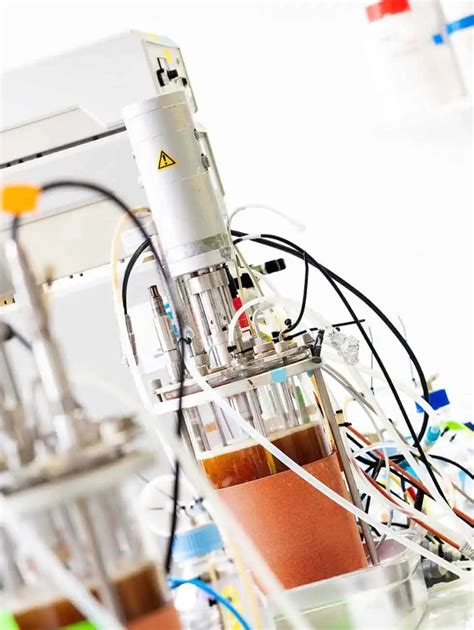 Microbial strain development - GTP Bioways