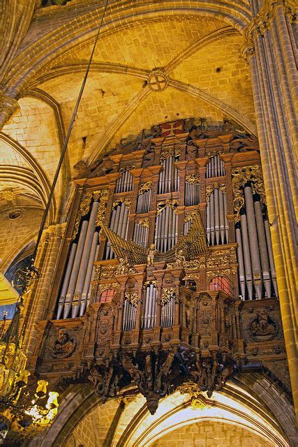 Barcelona Cathedral Organ | Cathedral, Sacred architecture, Amazing architecture