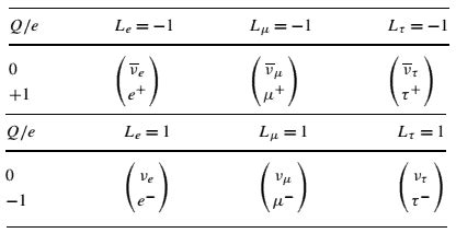 What is Lepton - Definition