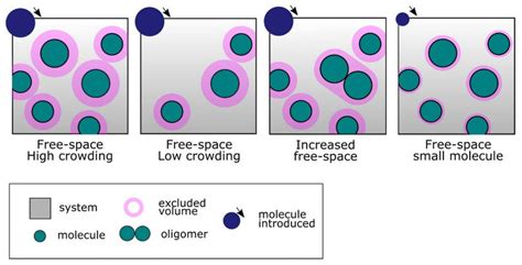 Excluded volume effect, molecules in a confined space. | Download Scientific Diagram