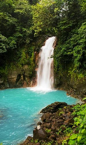 Rio Celeste Costa Rica: How to Plan the PERFECT Visit