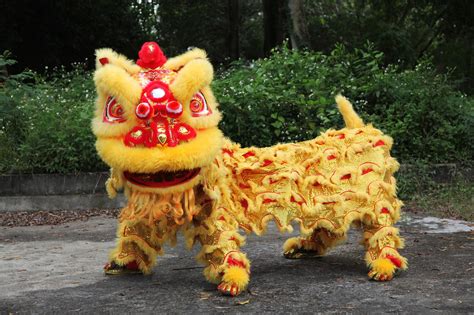 About Chinese Dragon Dance