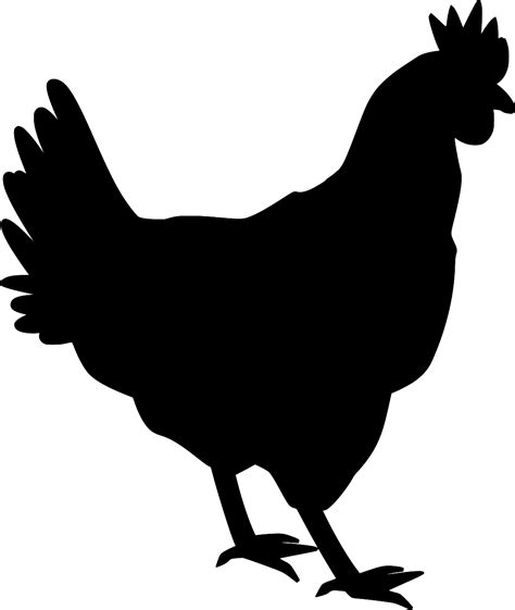 SVG > easter hen poultry card - Free SVG Image & Icon. | SVG Silh