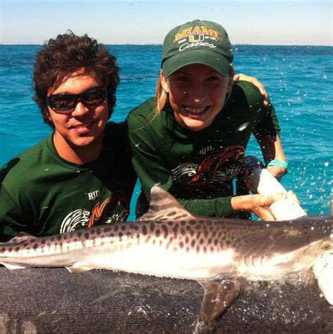 Baby tiger shark – Shark Research & Conservation Program (SRC) | University of Miami