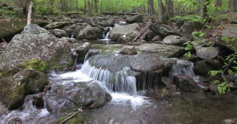 Smoky Scout's Hiking Adventures: AT Project in VA - Hello Rockfish Gap