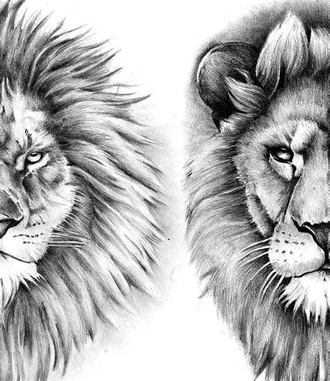 4 x Realistic lion tattoo design digital download – TattooDesignStock