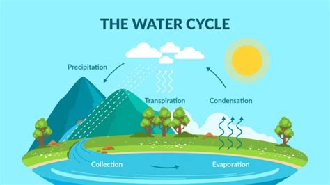 Cycles in Matter and Water – doerdo